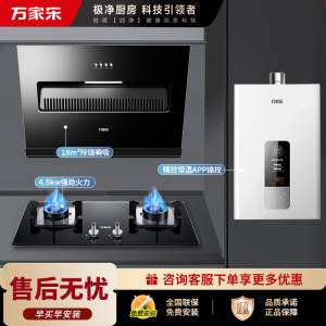 万家乐油烟机灶具热水器套餐 AL031+LAY3+13YP1/TP1 18立方大吸力 4.5kw猛火灶 天然气13升