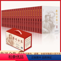 [正版]精装礼盒版鲁迅全集 全套20册 呐喊彷徨野草朝花夕拾故事新编花边文学狂人日记而已集现当代文学经典书籍 鲁迅杂文