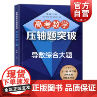 高考数学压轴题突破——导数综合大题
