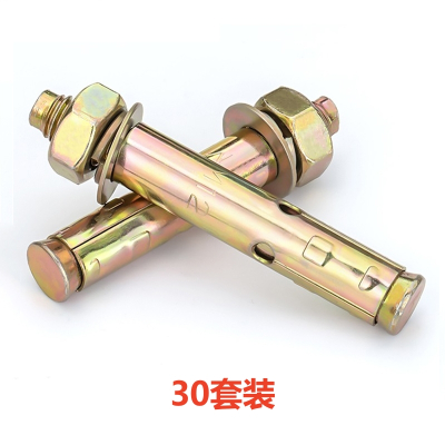 易企采 M10*80 30套装 彩锌膨胀螺丝螺栓外膨胀钉胀管