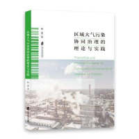 音像区域大气污染协同治理的理论与实践程进著