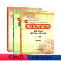 [套装3册]走进文言文 6-9年级 初中通用 [正版]走进文言文六七年级版六七八九年级 初中文言文课外阅读与训练精选 6
