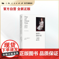 欲望与家庭小说--小说的政治史(思想剧场)