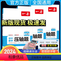 七年级数学压轴题(人教版) 初中通用 [正版]2024一本七八九年级中考数学压轴题初中数学有理数方程初一数学必刷题上下册