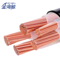 金海鲸 低烟无卤铠装电力电缆WDZYJY233×6+1 米