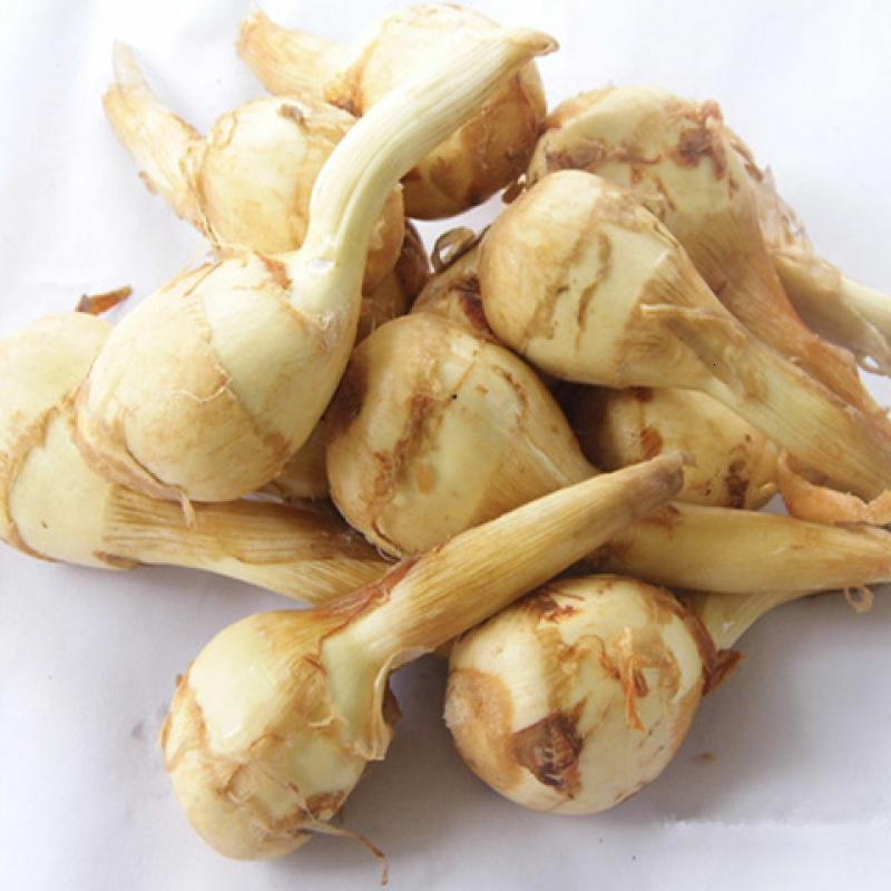 茨菰怎么保存,茨菇怎么保存不发青