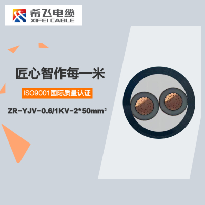 希飞牌 ZR-YJV-0.6/1KV-2*50mm² 阻燃铜芯低压电缆 元/米 联系客服 定制商品
