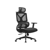 臻远 ZY-8939 办公椅人体工学椅转椅 定型棉黑框 单位:把