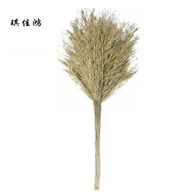 琪佳鸿 竹扫把 1.8kg 10把/件