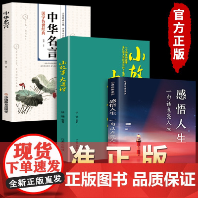 感悟人生一句话点亮人生小故事大道理中华名言全3册 正版为人处事的书籍成人文学成功励志书籍书排行榜人生没有什么不可以放下
