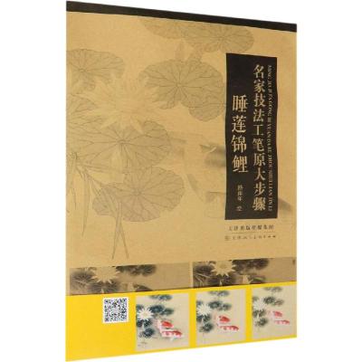 名家技法工笔原大步骤 睡莲锦鲤