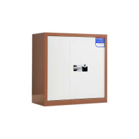 鑫升顺保密柜财务档案柜文件柜办公室资料储物柜保险柜电子密码国保锁矮柜咖白-国保指纹锁