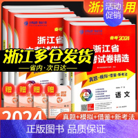 [共3本]语文+数学+英语 浙江省 [正版]浙江2024浙江省中考试卷精选语文数学英语科学历史与社会道德与法治全套初三九