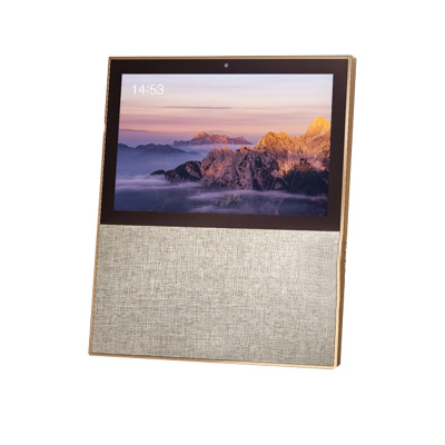 泰迪信 X10 第二代 移动智家智能屏 10.1英寸 1台