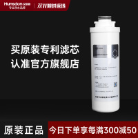 汉斯顿/Hunsdon滤芯 旋拧式300G反渗透RO膜