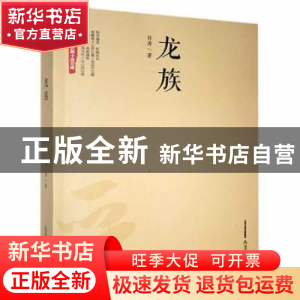 正版 龙族 孙涛著 北岳文艺出版社 9787537853095 书籍