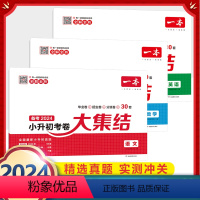 小升初考卷大集结(语+数+英) 小学升初中 [正版]2024小升初考卷大集结语文数学英语测试卷毕业招生分班卷精选2021