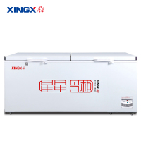星星(Xingx) 718升商用卧式大容量 冷藏冷冻转换单温冰柜冷柜 一级能耗(白色)BD/BC-728GE
