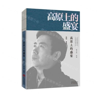 [N]高原上的盛宴/文学里的中国当代经典书系-9787500166382