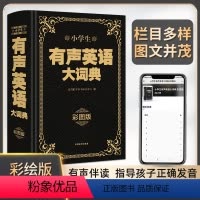 [正版]新版小学生有声英语大词典辞典配英语朗读音频三四五六年级全彩图解32开趣味学英语字典小学生多功能英语词典工具书大