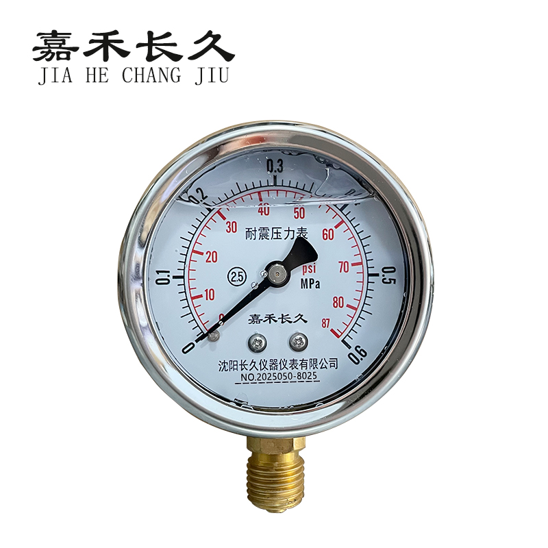 嘉禾长久 耐震压力表检测型 YTN60 块