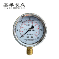 嘉禾长久 耐震压力表检测型 YTN60 块