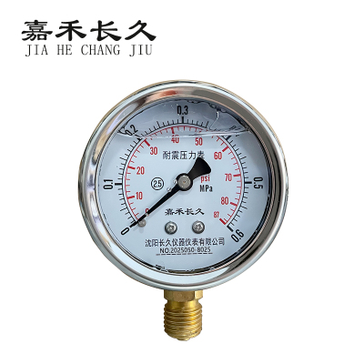 嘉禾长久 耐震压力表检测型 YTN60 块