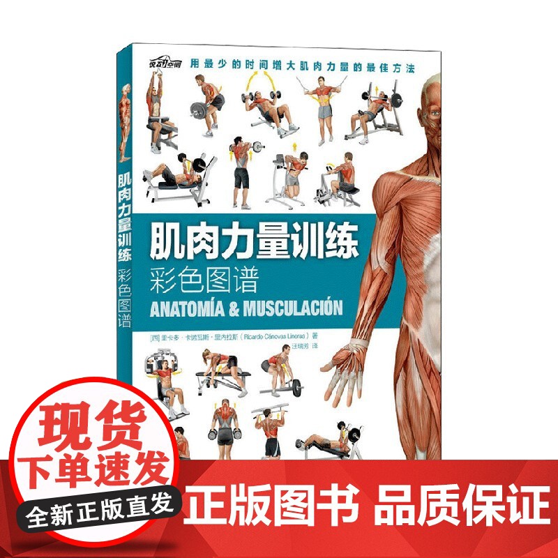 肌肉力量训练彩色图谱 里卡多·卡诺瓦斯·里内拉斯 著 养生保健