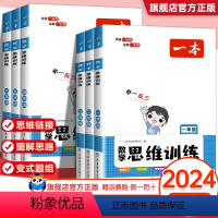 数学思维训练 小学一年级 [正版]2024版 数学思维训练一年级二三年级四五年级六上册下册人教版小学奥数举一反三1234