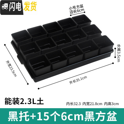 三维工匠美莳控根多肉花盆塑料套装组合创意透气肉肉控型盆器带托盘小花盆 黑托+15个黑盆(6cm盆) 小花盆容器