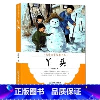 [正版]大作家小故事书系:丫头 7-10-12岁儿童经典文学校园成长励志暖心小说故事书 二三四五年级中小学生课外阅读书