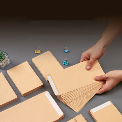 杜克恩DKE-ZFD004 空白牛皮纸自封袋 (计量单位:个) 牛皮黄