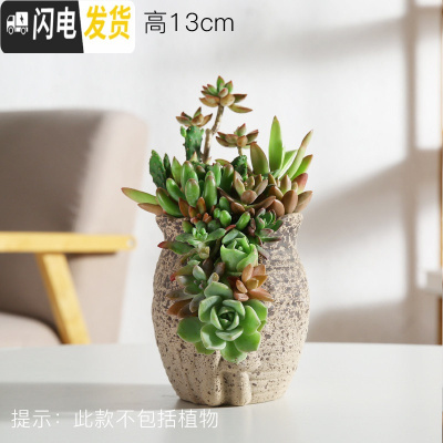 三维工匠多肉个性陶瓷花盆多孔洞洞花盆多肉盆栽摆件绿植陶瓷盆高款兰花盆 洞洞盆HZ26 中等花盆容器