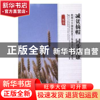 正版 减贫摘帽 同步小康 杨兴洪著 贵州大学出版社 9787811269635