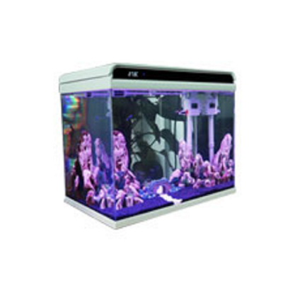 小型鱼缸客厅金鱼超白玻璃免换水生态懒人桌面家用公司水族箱