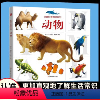 经典科普图鉴-动物 [正版]经典科普图鉴系列动物百科全书 3-5-6岁幼儿童小中大班动物大百科书籍小学生一二三四年级科普