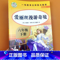 爱丽丝漫游奇境 [正版]快乐读书吧 爱丽丝梦游仙境书六年级下册必读 原著小学生经典书目完整版6年级下学期课外阅读书籍 爱