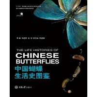 音像中国蝴蝶生活史图鉴朱建青/谷宇/陈志兵/陈嘉霖