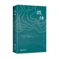 诺森微烛朱湘山著9787573013583海南出版社