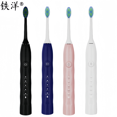 铁洋 电动牙刷 EA317 个