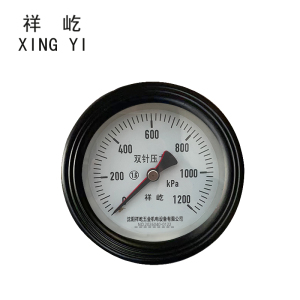 祥屹 双针双管压力表24v轴向 YYS100Z 台