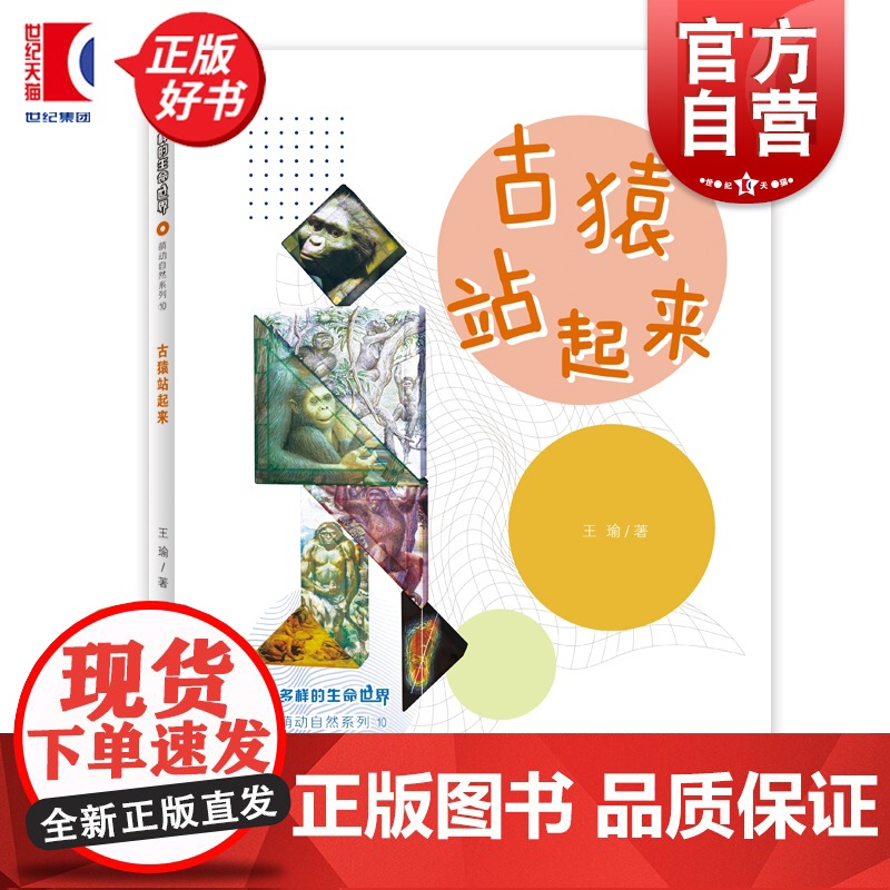 古猿站起来 多样的生命世界萌动自然系列⑩ 王瑜著少年儿童出版社2024年上海市重点科普图画书上海自然博物馆联手打造
