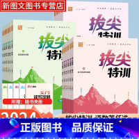 [热卖套装]语文+数学+英语[人教版] 三年级上 [正版]2024秋新拔尖特训一二三四五六年级上下册语文数学英语人教苏教