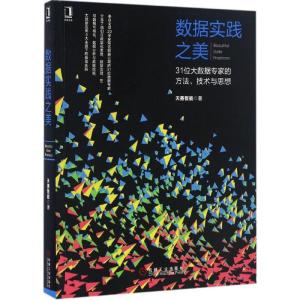 正版新书]数据实践之美天善智能 著9787111557036