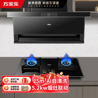 万家乐 25m³顶侧三腔AI自巡航变频油烟机 TAK8+AY9 25立方大吸力家用吸油烟机 5.2KW家用灶具两件套装家