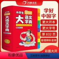 [正版]小学生多功能大语文字典新版大开本配近1000条易错辨析音频现代汉语全笔顺近反义词英语词汇造句字典工具书彩图大字