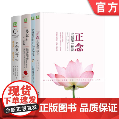 套装 卡巴金心理学作品集套装全4册 正念 此刻是一枝花+多舛的生命+穿越抑郁的正念之道+正念父母心 正念减压心灵疗愈心理