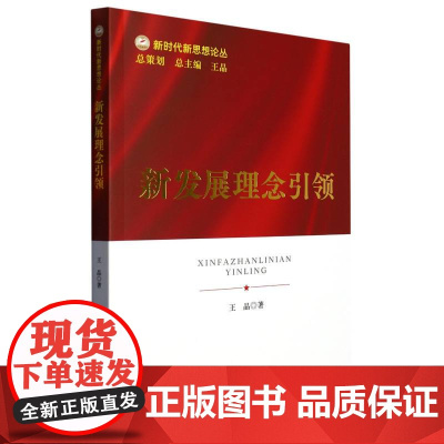 新发展理念引领
