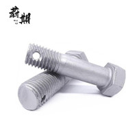 蔚期 GB31.1达克罗六角头螺杆带孔螺栓 M20*130半牙 个