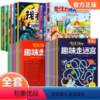 [全30册]找不同+专注力+迷宫书 [正版]大开本附带答案 趣味找不同专注力训练全套 儿童3岁4岁5岁6岁以上注意力训练